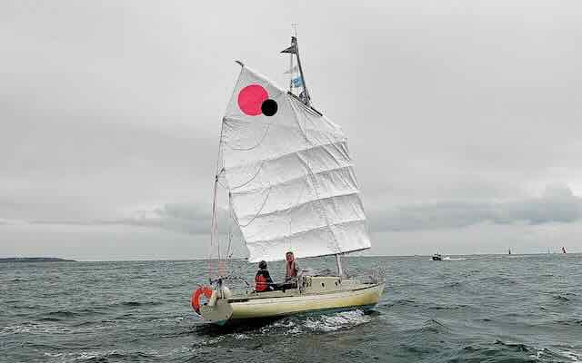 Mingfming wingsail petite - 1.jpeg